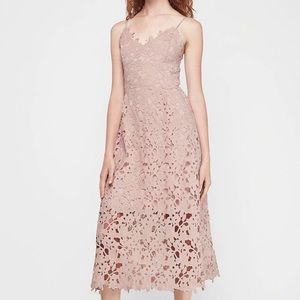 Express Floral Lace Midi Dress